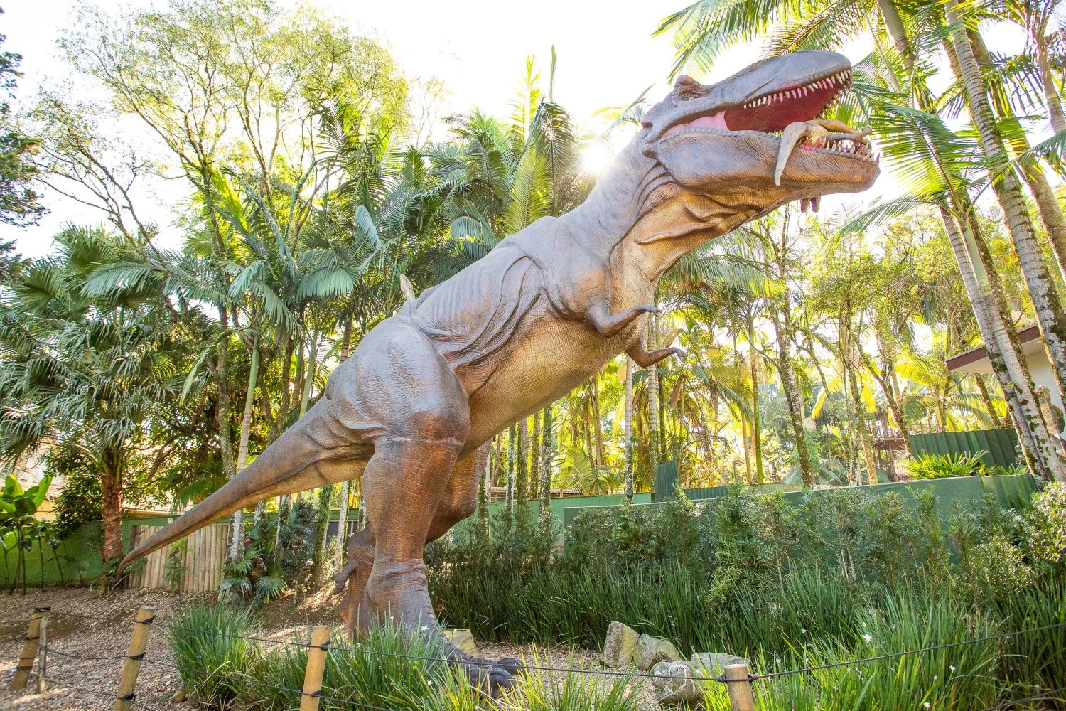 Esse é um dos lugares para conhecer em SC, linda imagem de um dinossauro tirada por um turista em Santa Catarina.